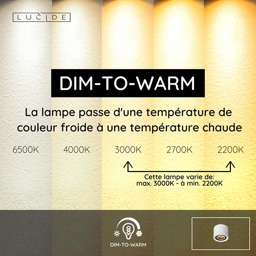 Lucide FEDLER - Spot plafond - Ø 12 cm - LED Dim to warm - GU10 (ES111) - 1x12W 2200K/3000K - Blanc - USP